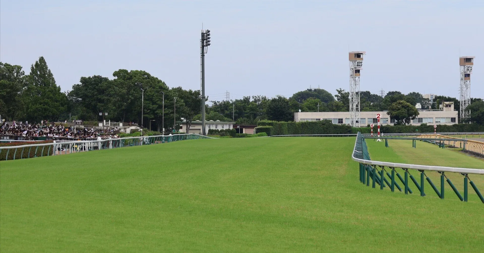 東京競馬場